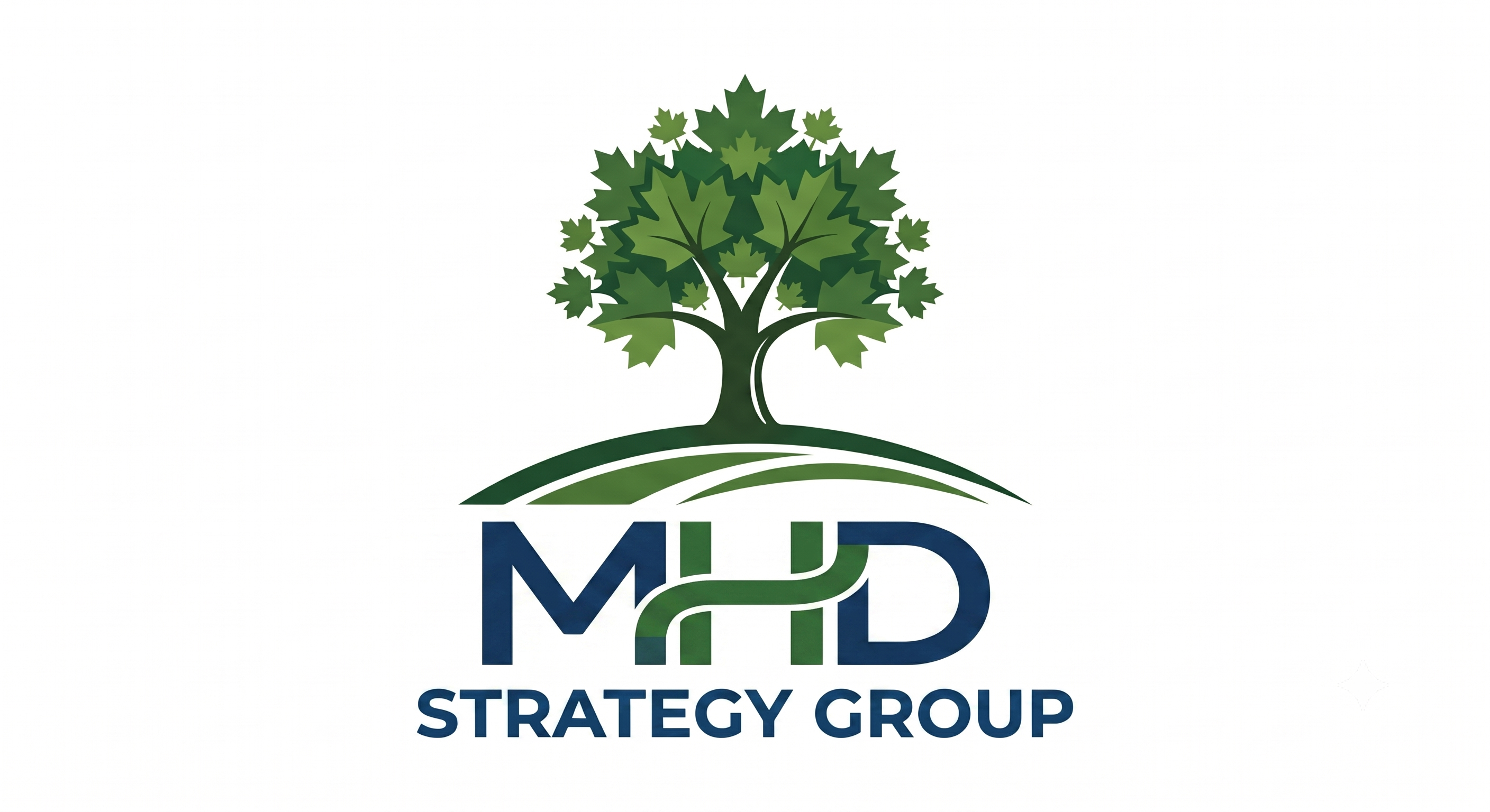 MHD Strategy Group